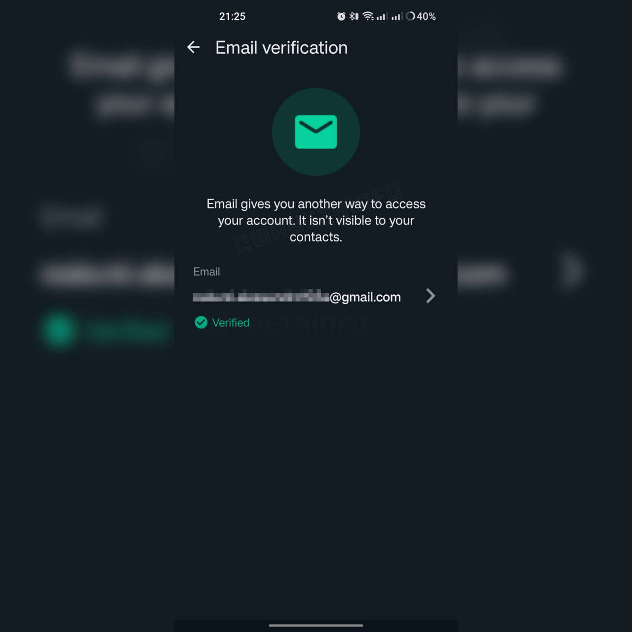 WhatsApp Email Verification Feature