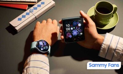 Samsung One UI 6 Watch beta features