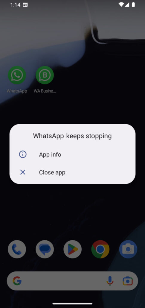 WhatsApp app crash issue