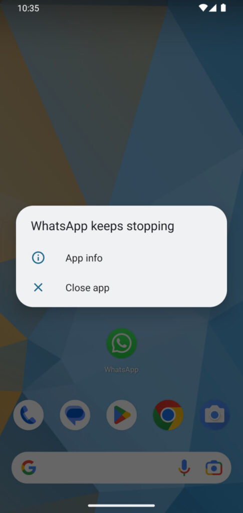 WhatsApp App Crashing Issue