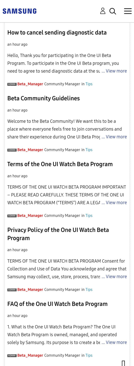 One UI 6 Watch Beta