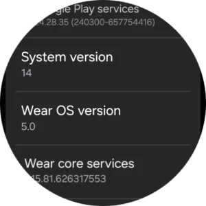 Wear OS 5.1