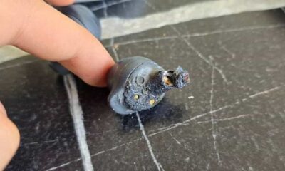 Samsung Galaxy Buds FE Exploded