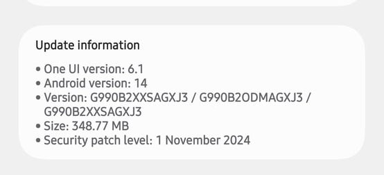 Snapdragon Galaxy S21 FE November 2024 update