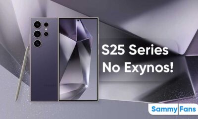 Samsung Galaxy S25 Series Exynos